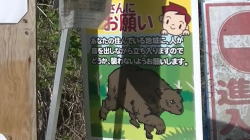 bR Fւ̂肢