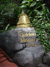 bg TPbg@Golden Mount