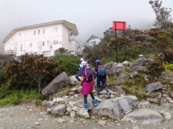 Lio Laban Rata Resthouse@